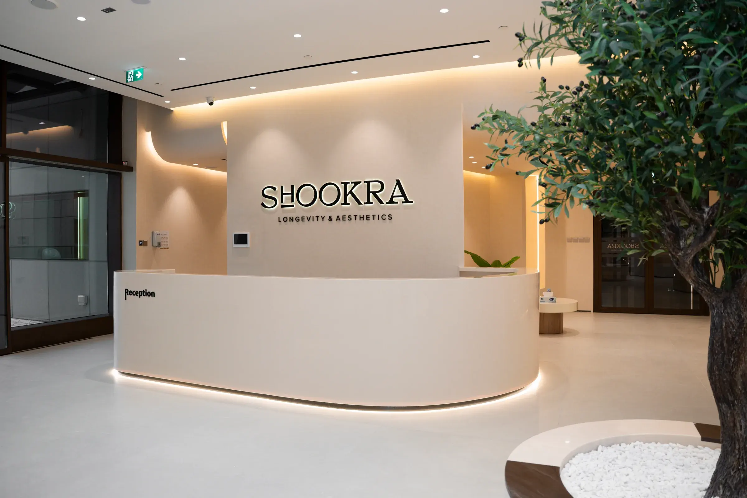 The reception at Shookra Palm Jumeirah, Dubai