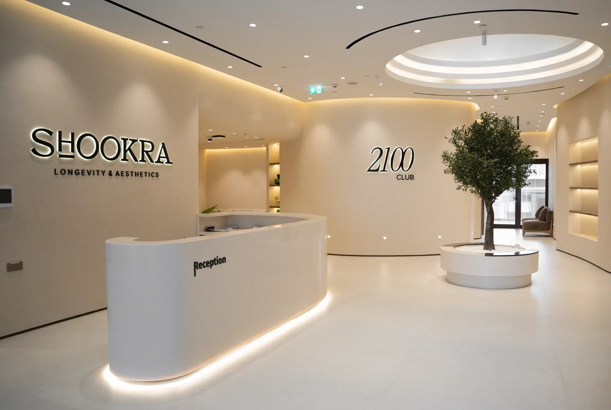 The reception at Shookra Palm Jumeirah — a curved white desk beneath the Shookra sign, with an olive tree in a round planter beyond