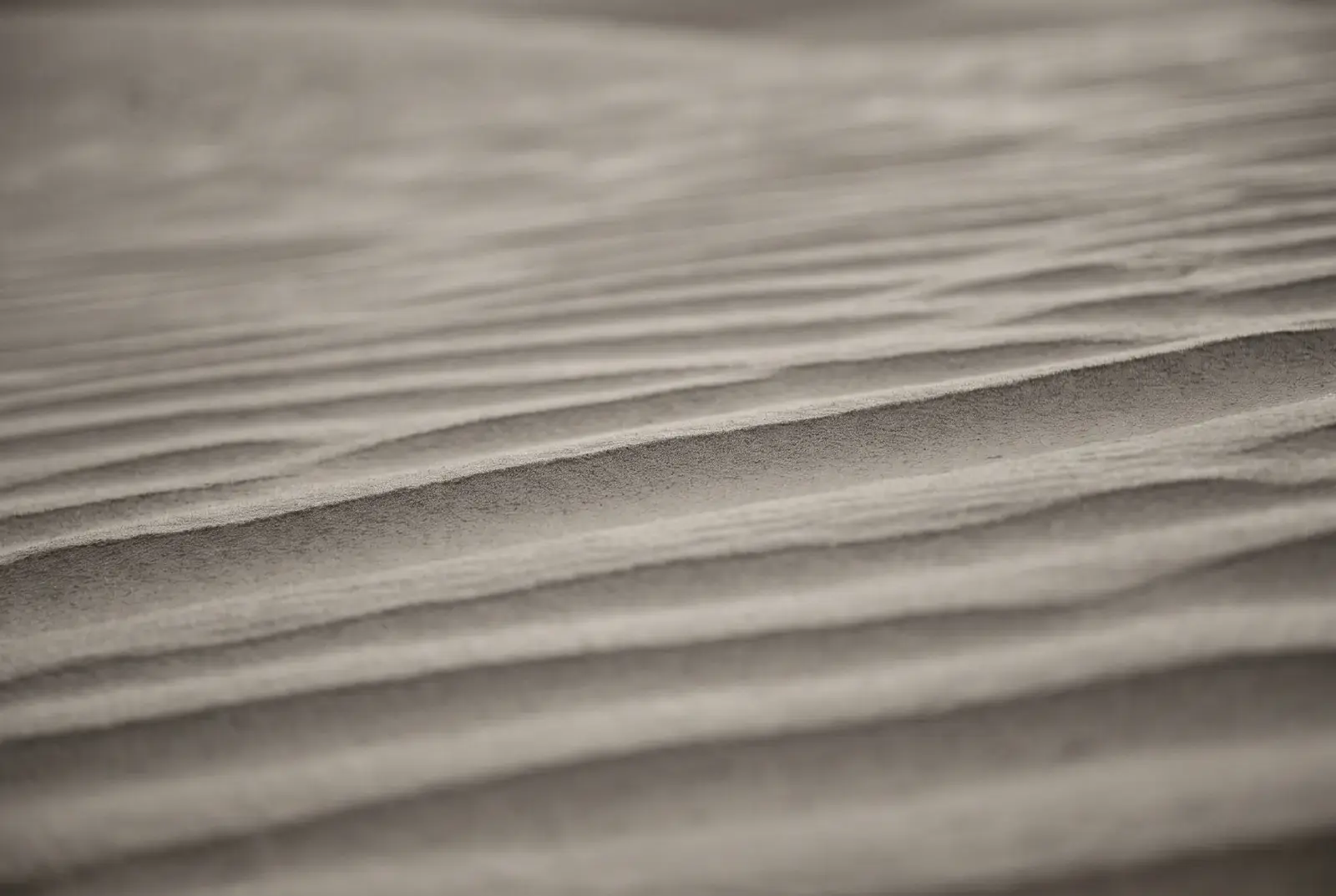 Fine repeating ripples across pale sand, lit low so each ridge casts a long soft shadow