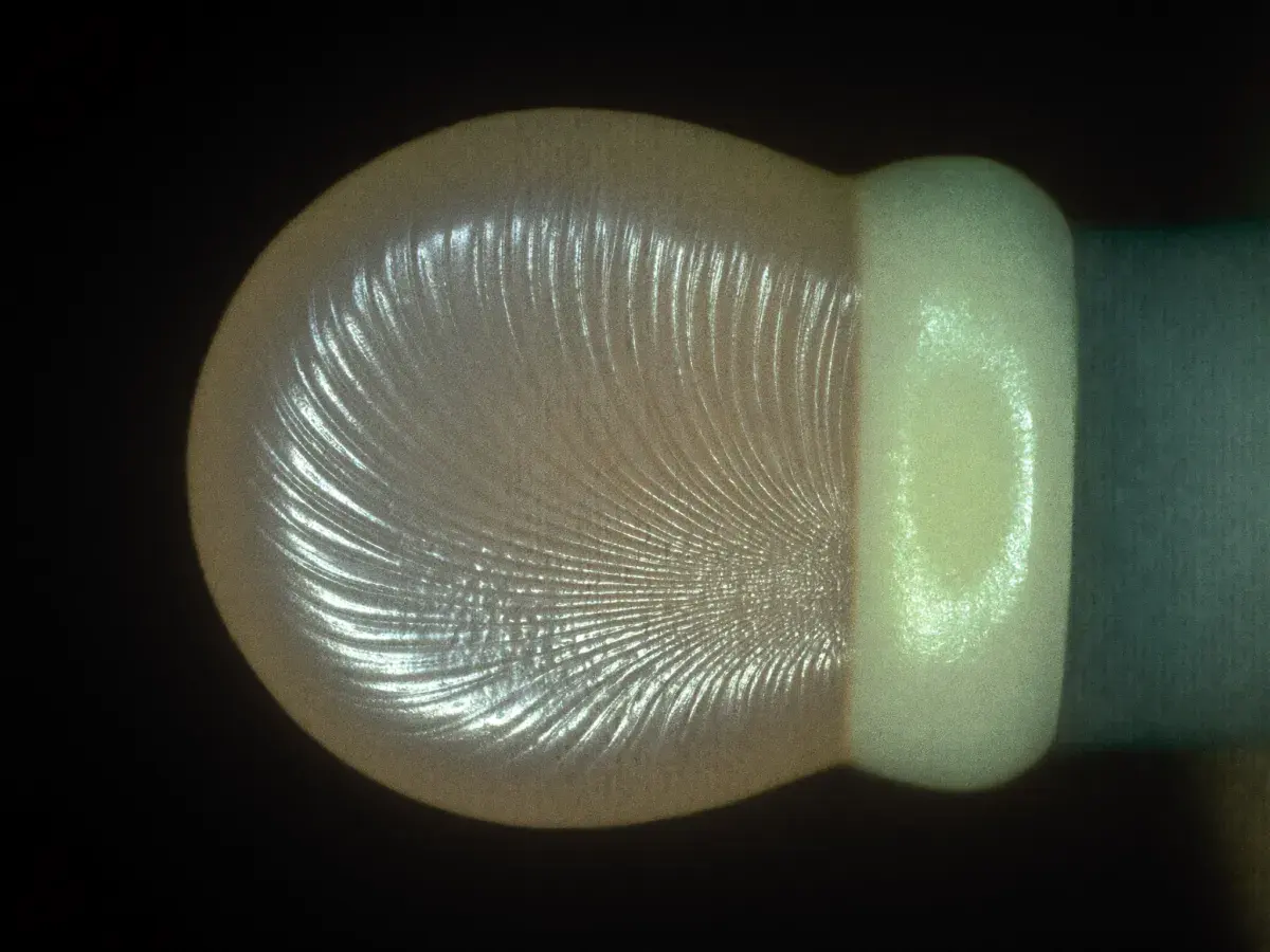 Macro study of a translucent, glassy cartilage-like surface