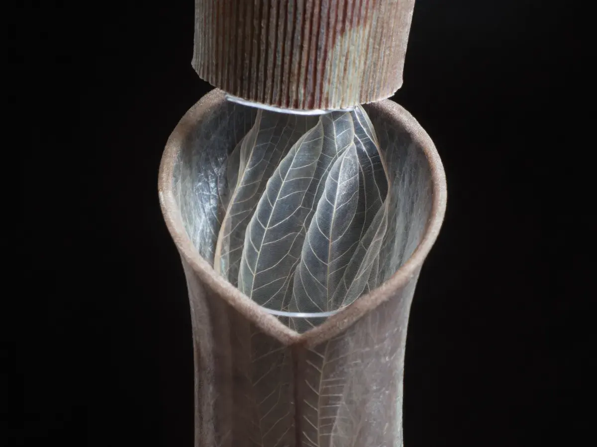 Macro study of a translucent membrane with a delicate leaflet structure